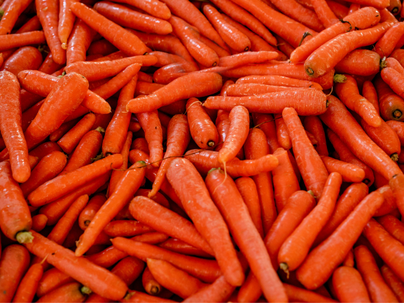 Fresh Carrot