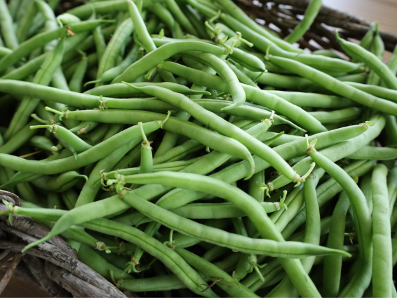 Fresh Beans