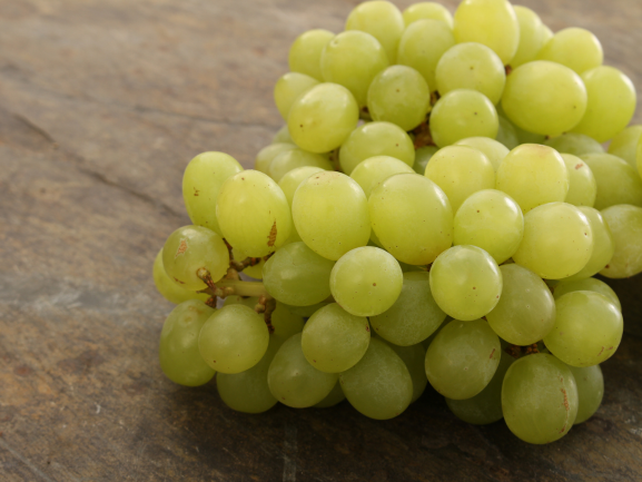 Fresh Grapes