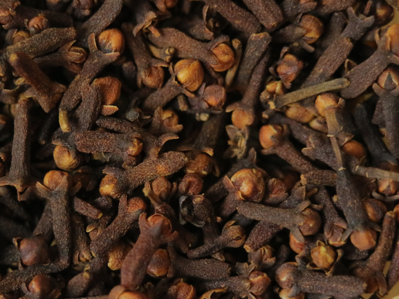 Fresh Grapes – Export Quality