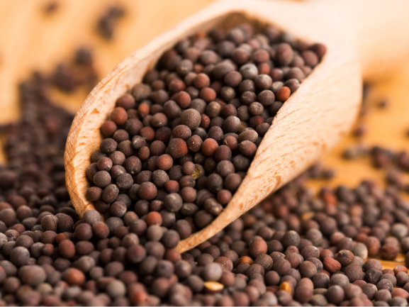 Mustard Seeds