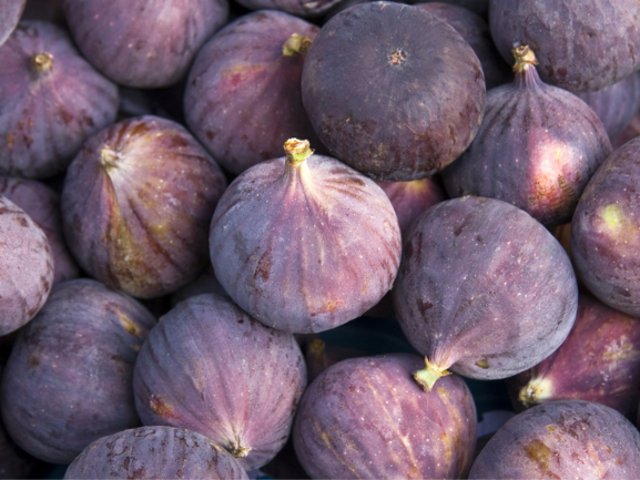 Fig
