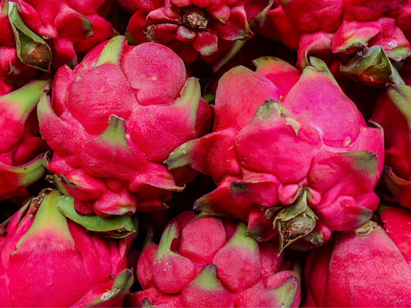 Dragon Fruit