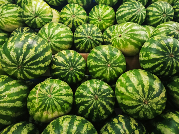 Watermelon
