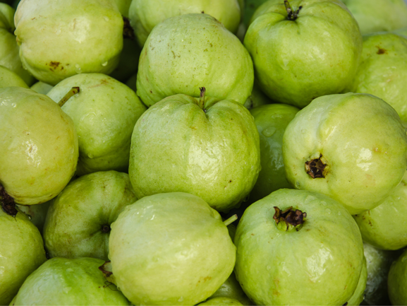 Guava