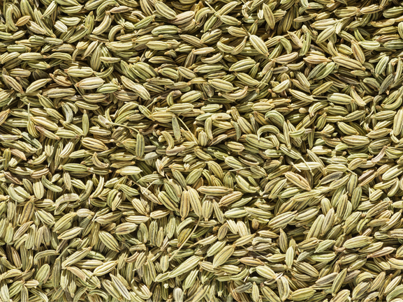 Fennel Seeds