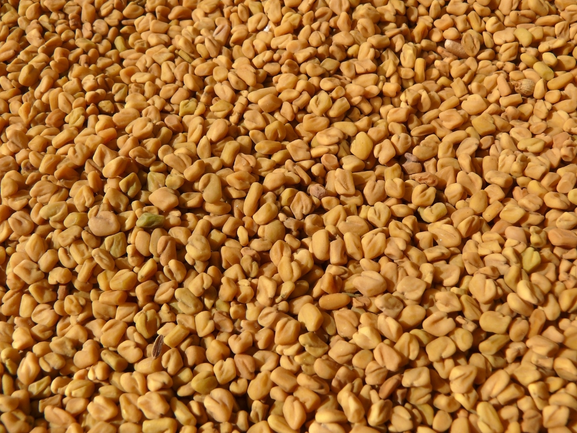 Fenugreek Seeds