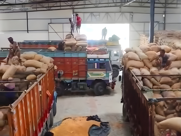 Fresh Red Onions – Export Grade