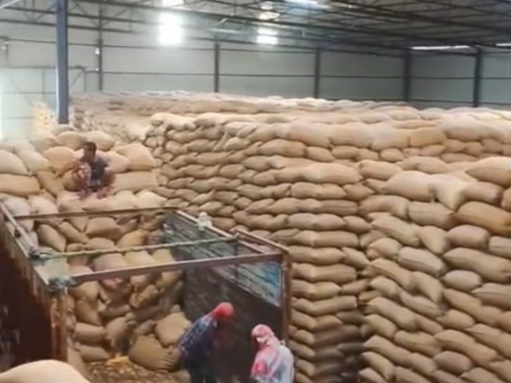 Fresh Red Onions – Export Grade