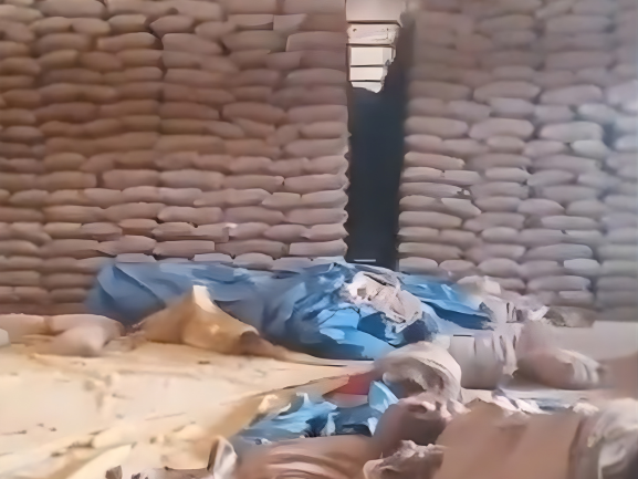 Fresh Red Onions – Export Grade