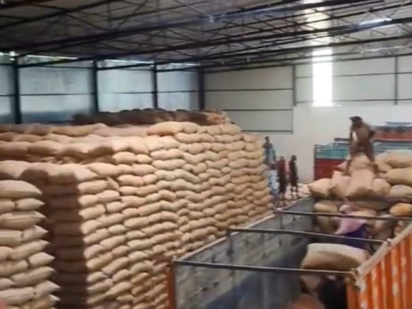 Fresh Red Onions – Export Grade