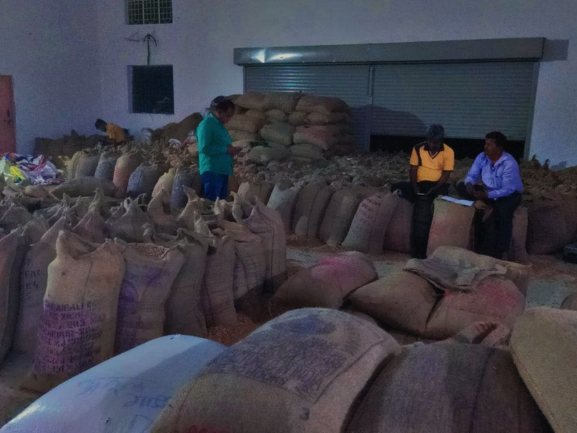 Fresh Red Onions – Export Grade